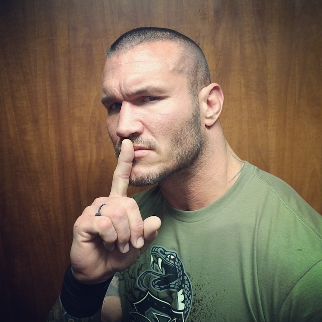 Randy Orton 3